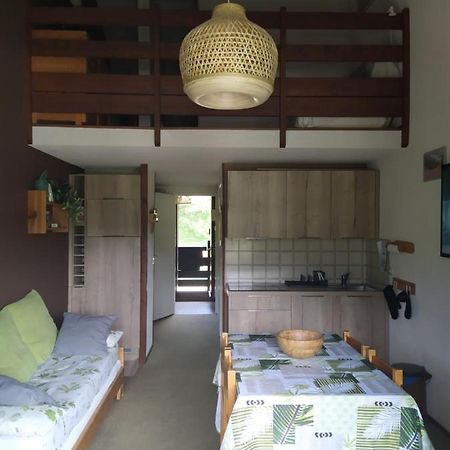 Apartamento Duplex 3 Pieces. Pieds Des Pistes Et Balcon! Gresse-en-Vercors Exterior foto