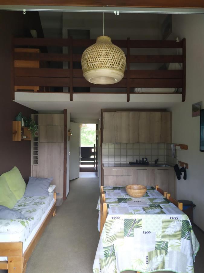 Apartamento Duplex 3 Pieces. Pieds Des Pistes Et Balcon! Gresse-en-Vercors Exterior foto
